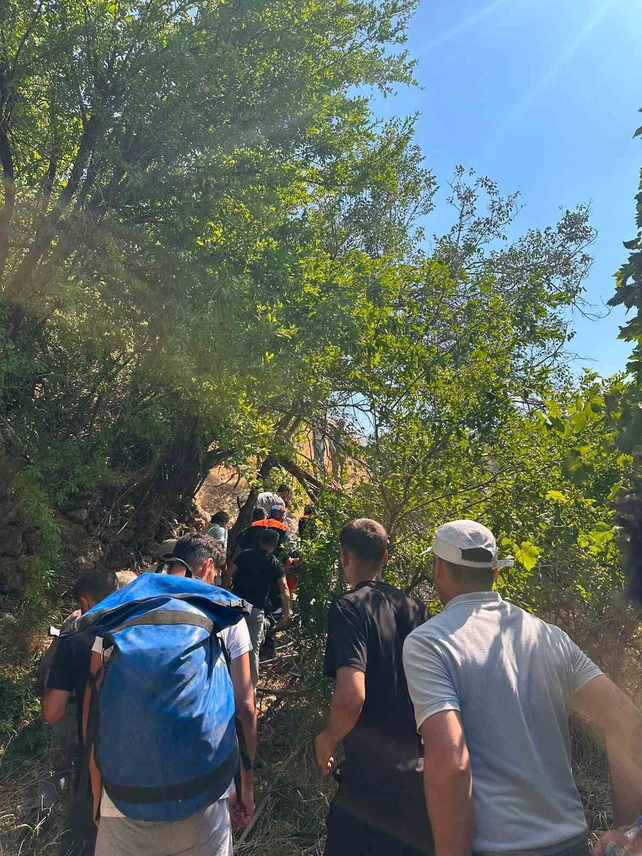 ŞIRNAK'IN GÜÇLÜKONAK İLÇESİNDE BAHÇE MEVKİİNDE AĞAÇTAN DÜŞEN 50 YAŞINDAKİ VATANDAŞ, KARA YOLU...