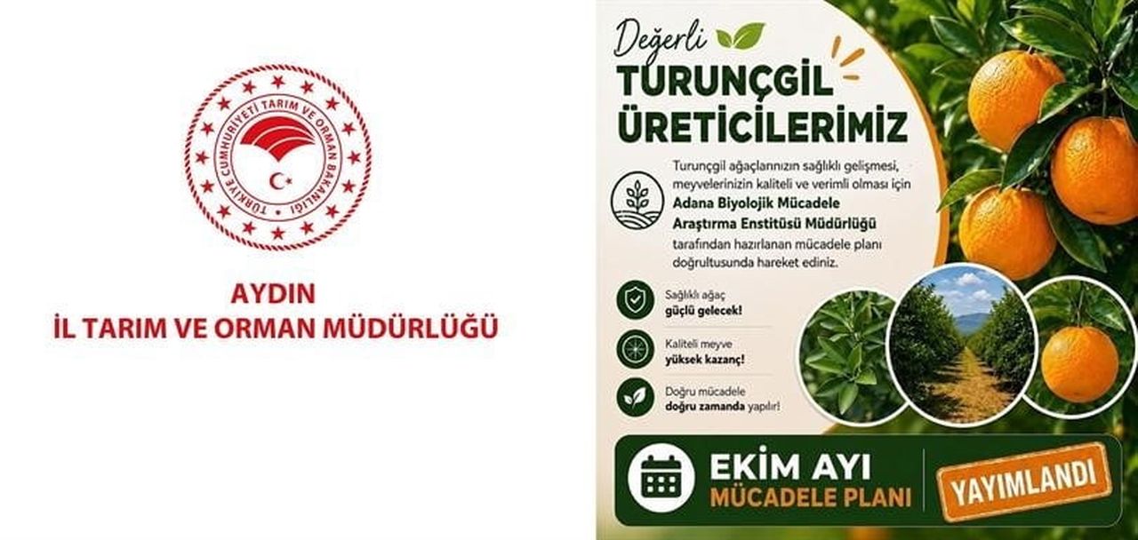 AYDIN İL TARIM VE ORMAN MÜDÜRLÜĞÜ, TURUNÇGİL ÜRETİCİLERİNİ EKİM AYINDA BAHÇELERİNDE...
