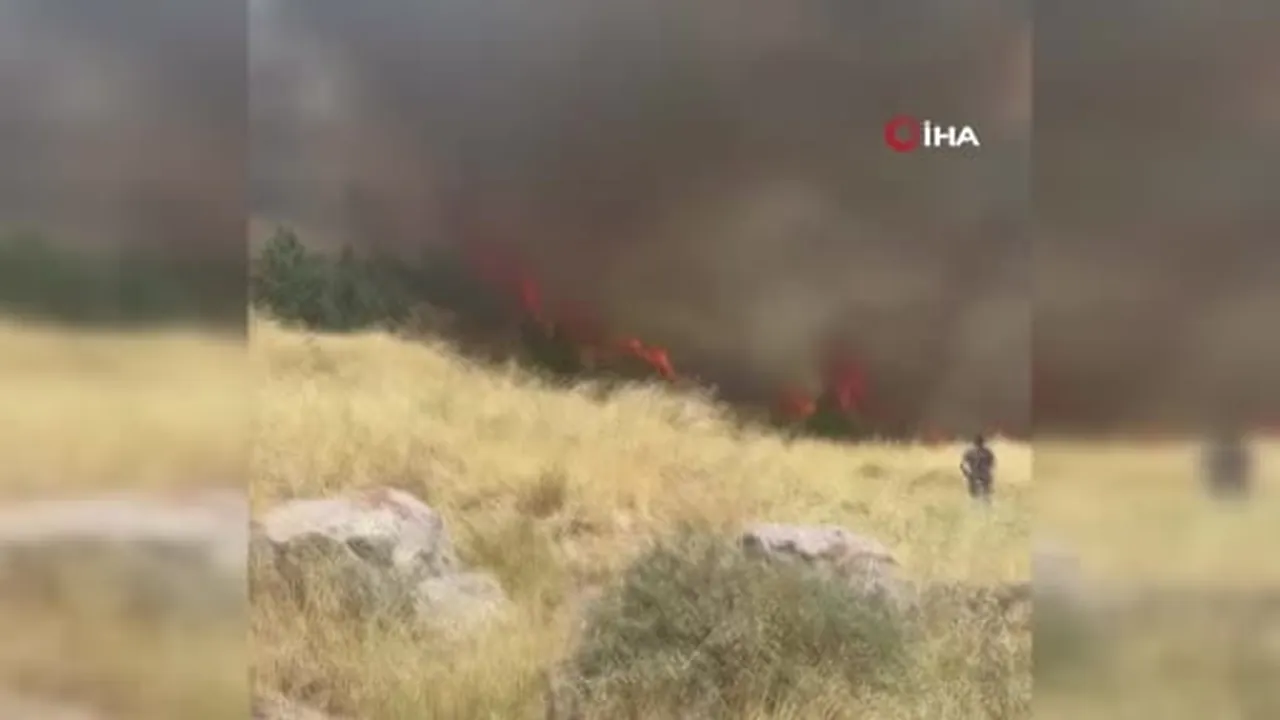 Ankara’daki ot yangını kontrol altına alındı