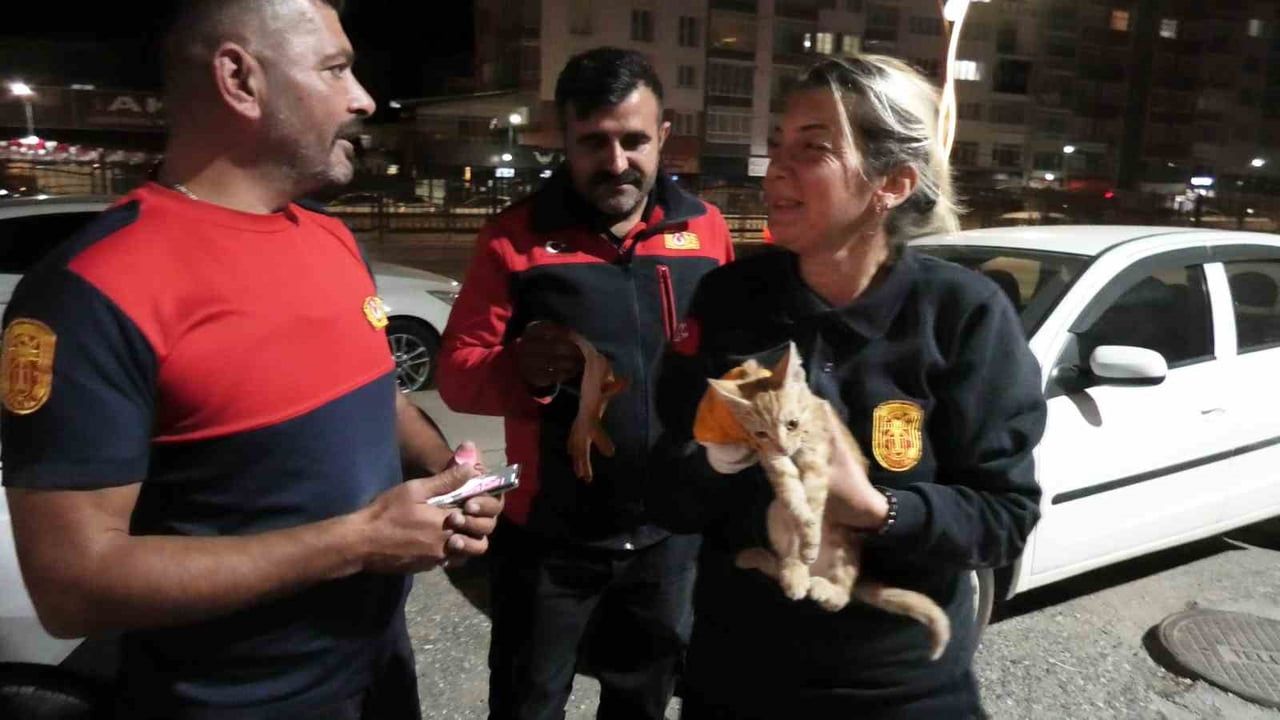YOZGAT'TA OTOMOBİLİN MOTOR BÖLÜMÜNE GİREN KEDİ, İTFAİYE EKİPLERİNCE KURTARILDI.