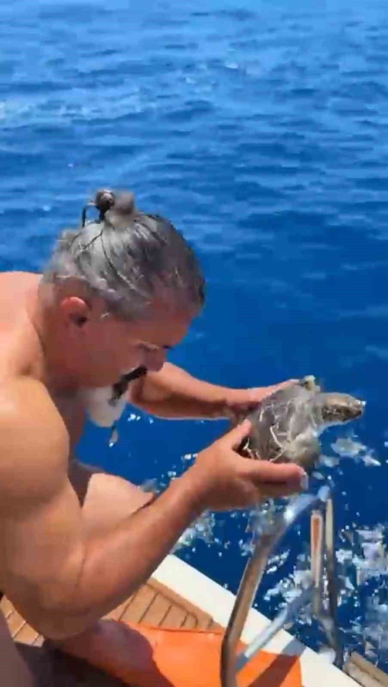 ANTALYA'NIN ALANYA İLÇESİNDE DENİZDE BİR ÇUVALA DOLANARAK HAREKET ETMEKTE GÜÇLÜK ÇEKEN CARETTA...