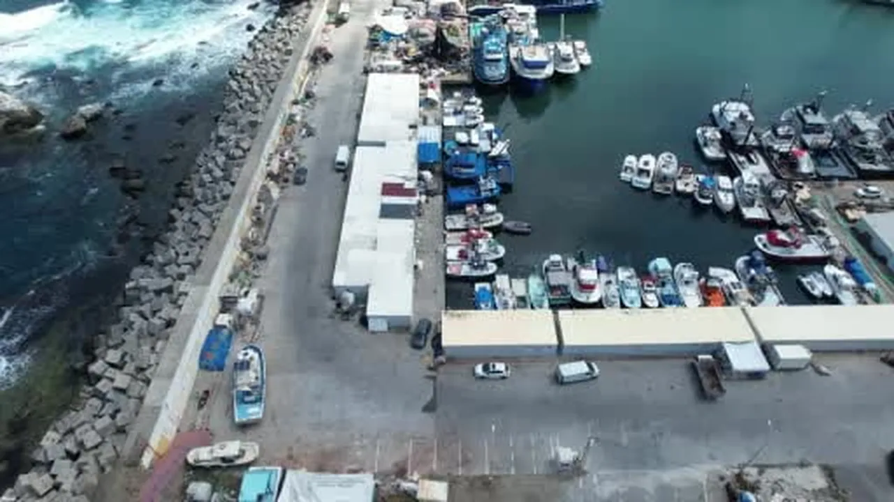 Balıkçılar yeni sezona hazır: Rumeli Feneri'ndeki balıkçılar bu yıl palamuttan umutlu