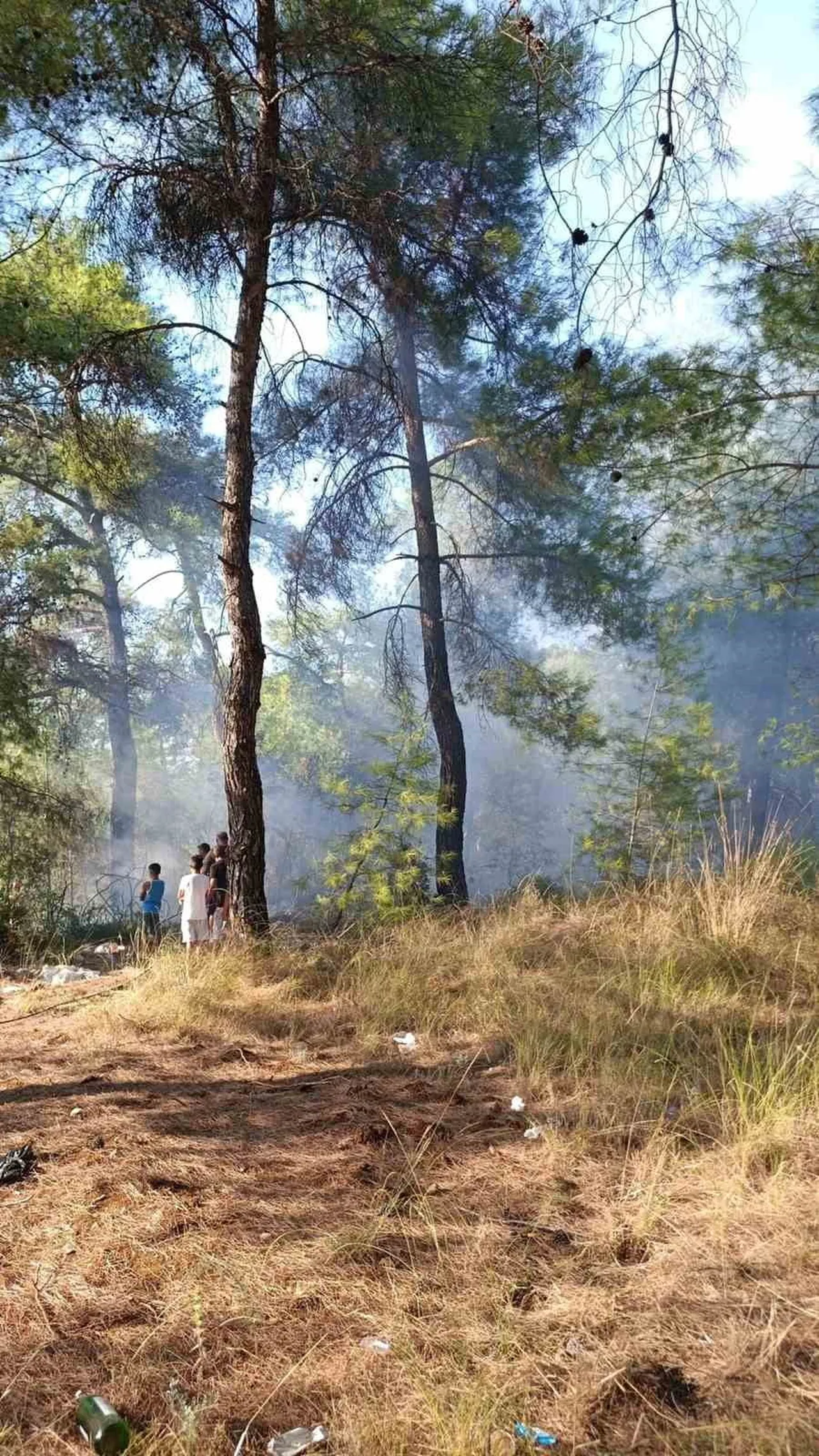 MUĞLA’NIN KÖYCEĞİZ İLÇESİNDE ORMANLIK ALANDA ÇIKAN YANGIN, EKİPLERİN HIZLI MÜDAHALESİYLE BÜYÜMEDEN...