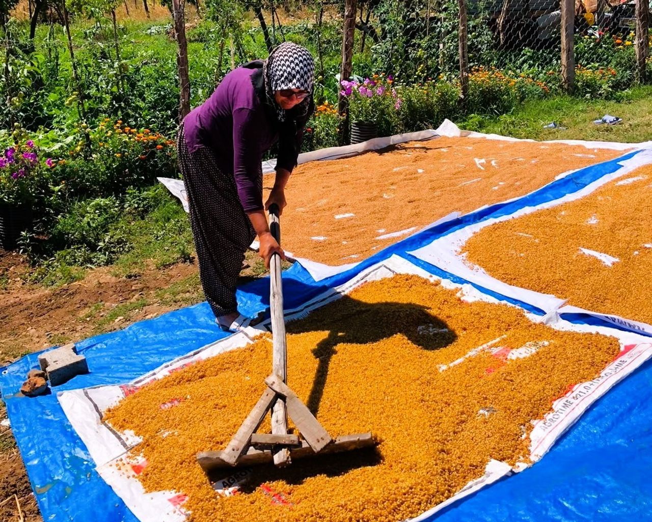 KAHRAMANMARAŞ'TA KIŞLIK HAZIRLIKLARI İÇİN KAZANLARDA BULGUR KAYNATILMAYA BAŞLANDI
