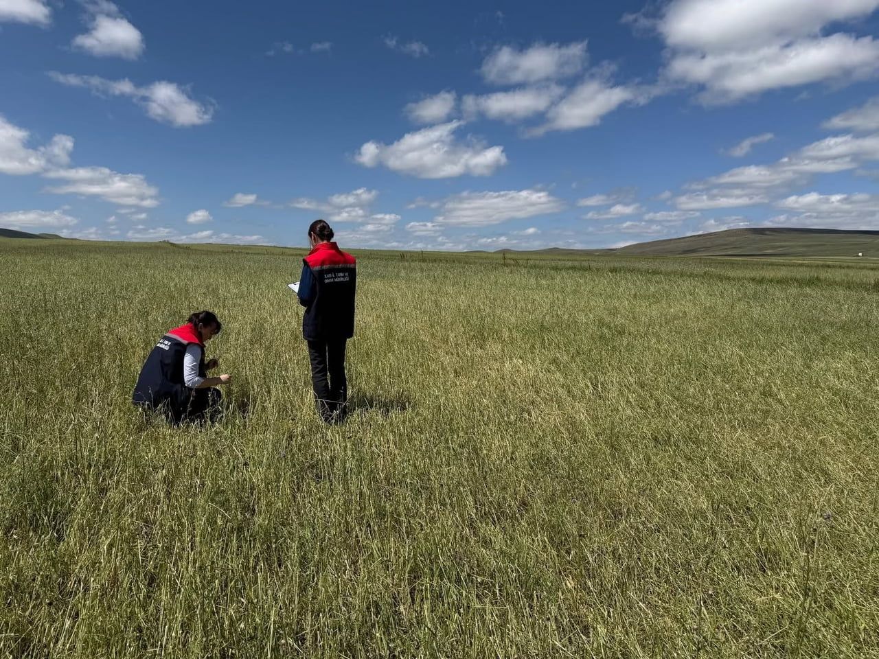 KARS'TA DOĞAL AFET SONRASI SEFERBERLİK: TARIM EKİPLERİ HASAR TESPİTİ İÇİN SAHADA(KARS-İHA)
