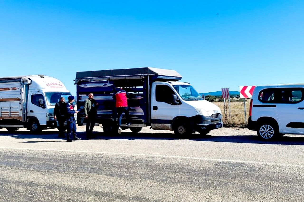 UŞAK’TA HAYVAN HASTALIKLARININ ÖNLENMESİ VE HAYVAN HAREKETLERİNİN KONTROL ALTINDA TUTULMASI...