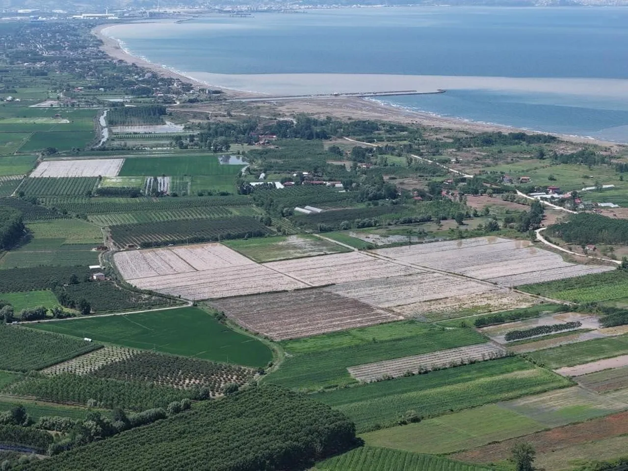 SAMSUN TARIM VE ORMAN İL MÜDÜRÜ KEMAL YILMAZ, DÜN ETKİLİ OLAN SAĞANAKTAN SAMSUN-ORDU KARAYOLU İLE...