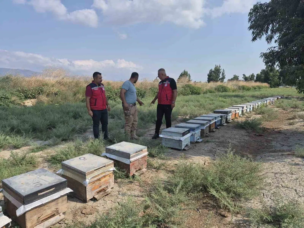 İL TARIM VE ORMAN MÜDÜRÜ ABDURRAHMAN TÜRKMEN, ANTAKYA’DA ARICILIK YAPAN ÜRETİCİYİ İŞLETMESİNDE...