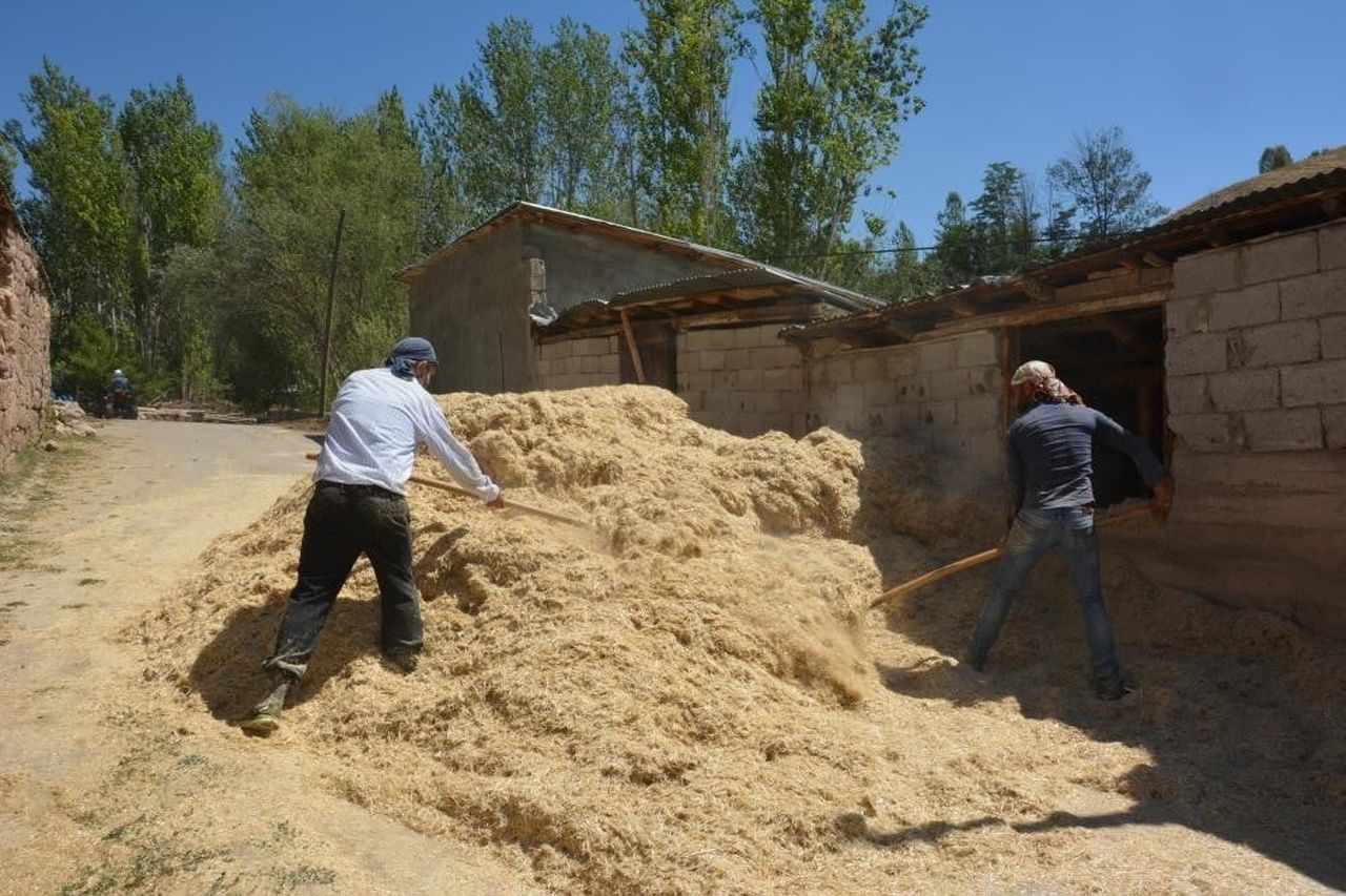 ERZİNCAN’DA ÇİFTÇİNİN KIŞ HAZIRLIĞI SÜRÜYOR