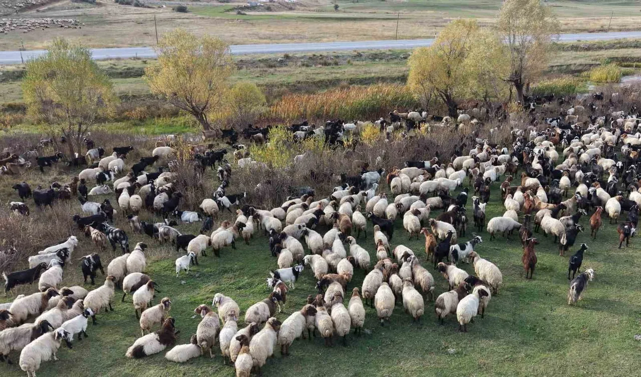 VAN VE BİTLİS’İN SERİN YAYLALARINDAN HAVALARIN SOĞUMASIYLA BİRLİKTE AYRILAN GÖÇERLER, BİNLERCE...