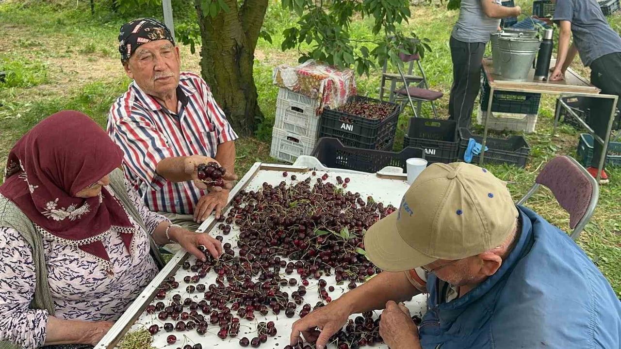 KONYA’NIN AKŞEHİR VE AFYONKARAHİSAR’IN SULTANDAĞI İLÇELERİNDE BU YIL TÜM ZAMANLARIN EN YÜKSEK...