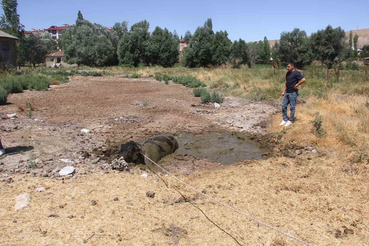 SİVAS’TA AHIRDAN KAÇAN KIZGIN BOĞA, İLÇEYİ BİRBİRİNE KATTI. BİRÇOK VATANDAŞI UZUN SÜRE PEŞİNDE...