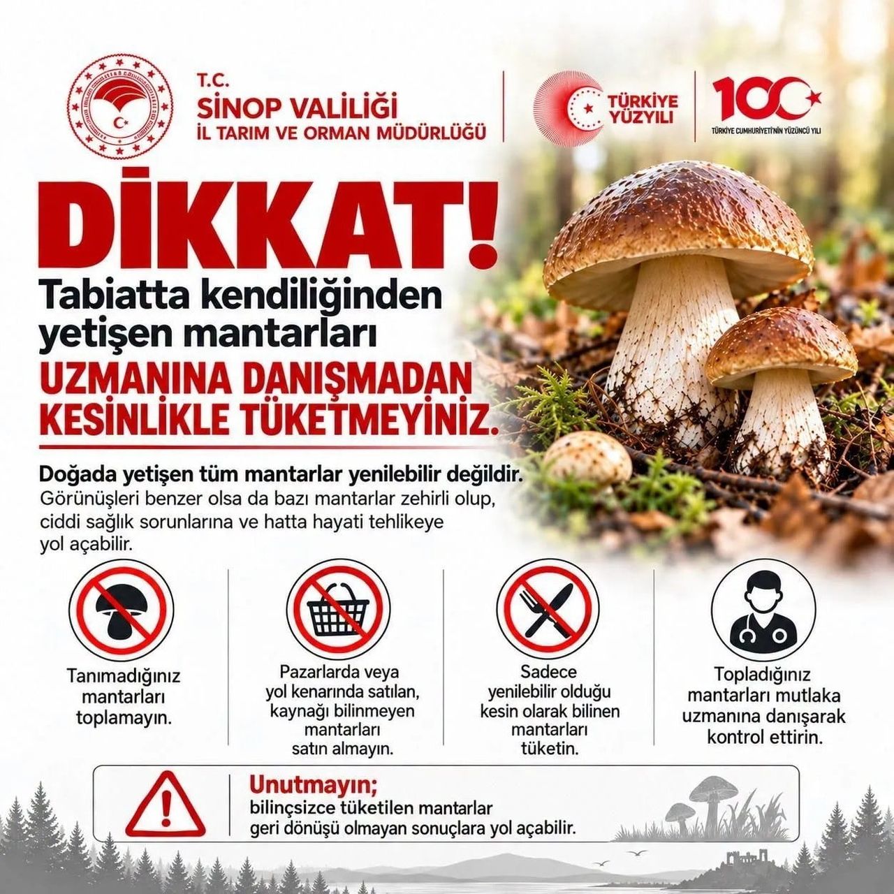 SİNOP İL TARIM VE ORMAN MÜDÜRLÜĞÜ, SONBAHAR AYLARINDA YAĞIŞLARIN ARTMASIYLA BİRLİKTE DOĞADA...