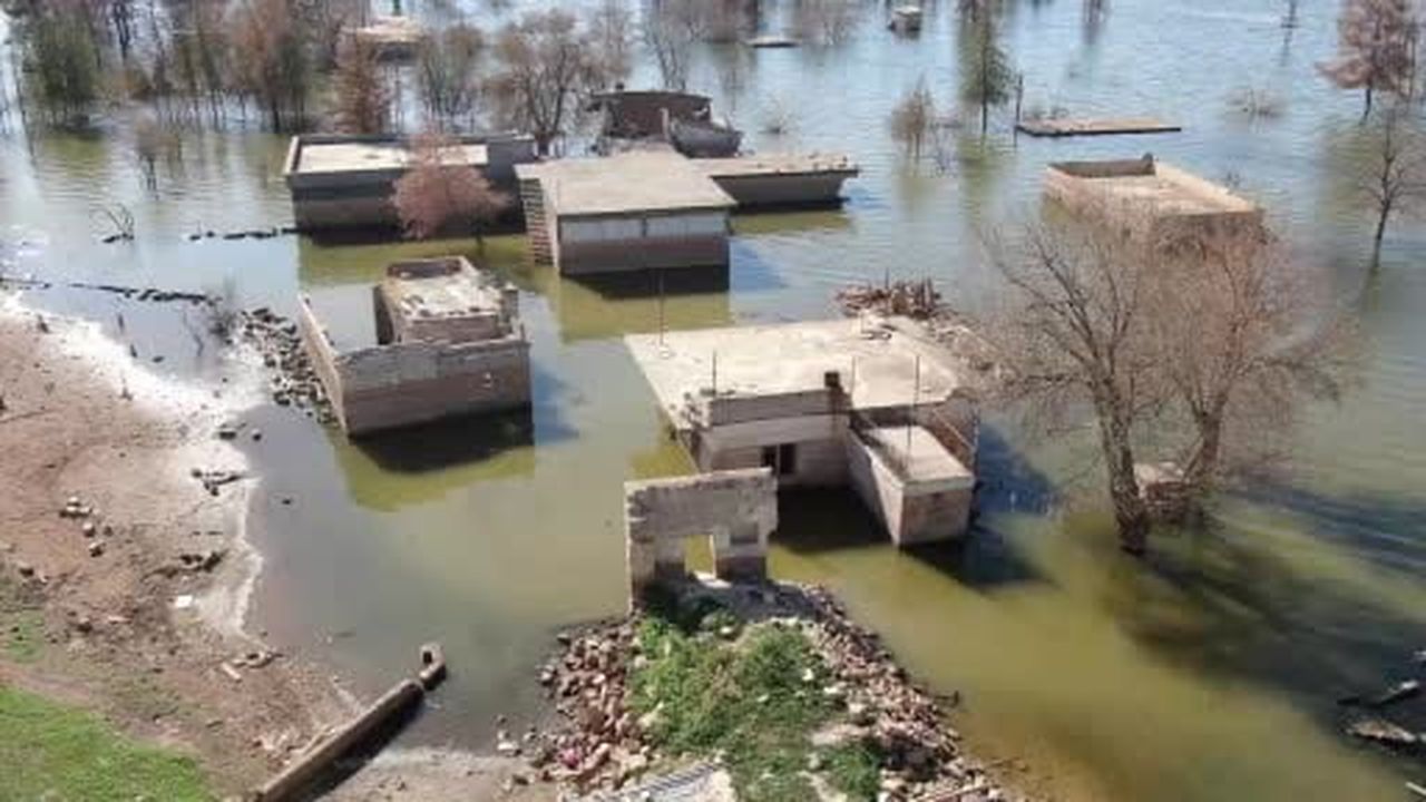 Baraj sularına gömülen köy, leyleklerin yuvası ve balıkçıların uğrak noktası oldu