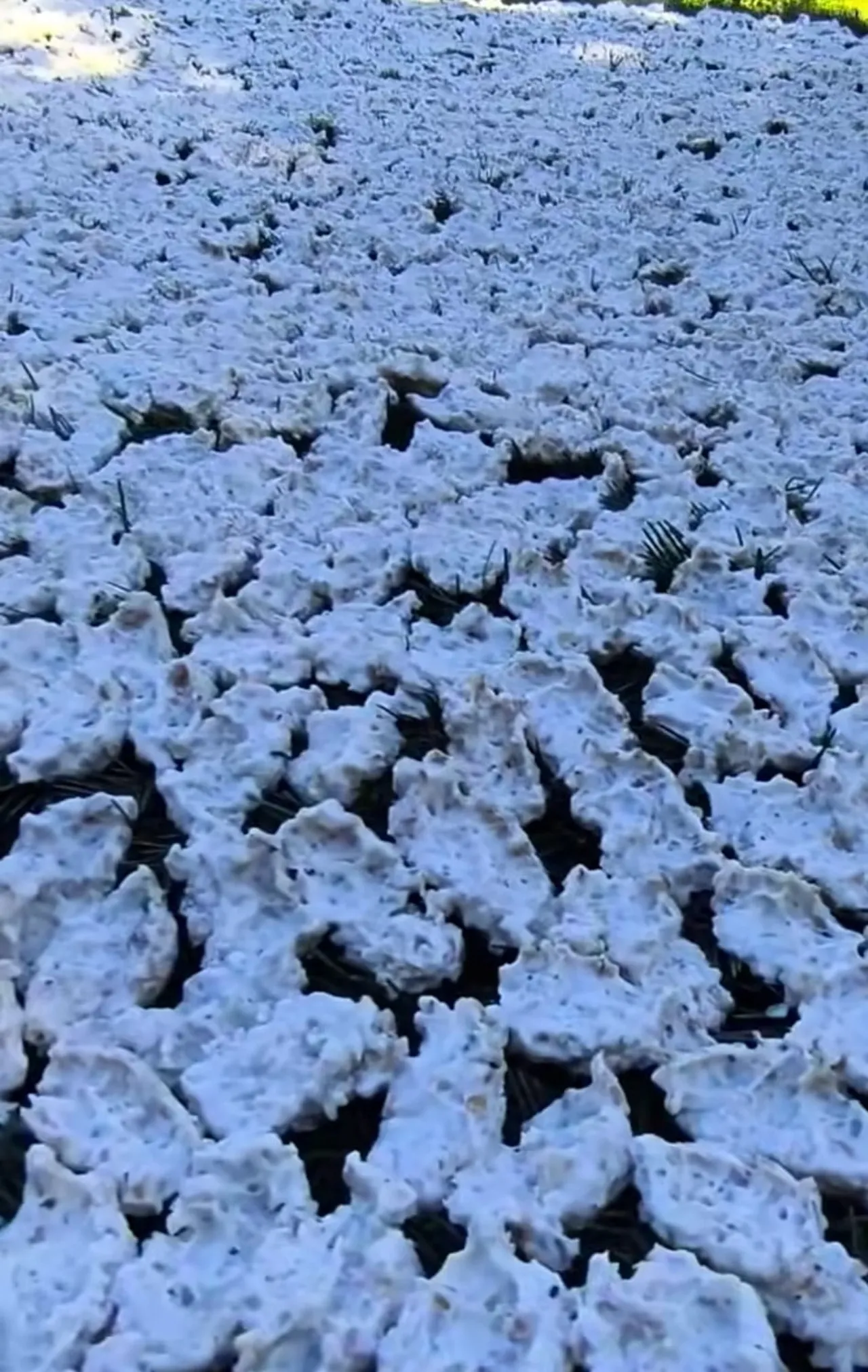 KAHRAMANMARAŞ’IN ANDIRIN İLÇESİNE BAĞLI ÇIĞŞAR MAHALLESİ’NDE, YAZ MEVSİMİNİN GELMESİYLE BİRLİKTE...