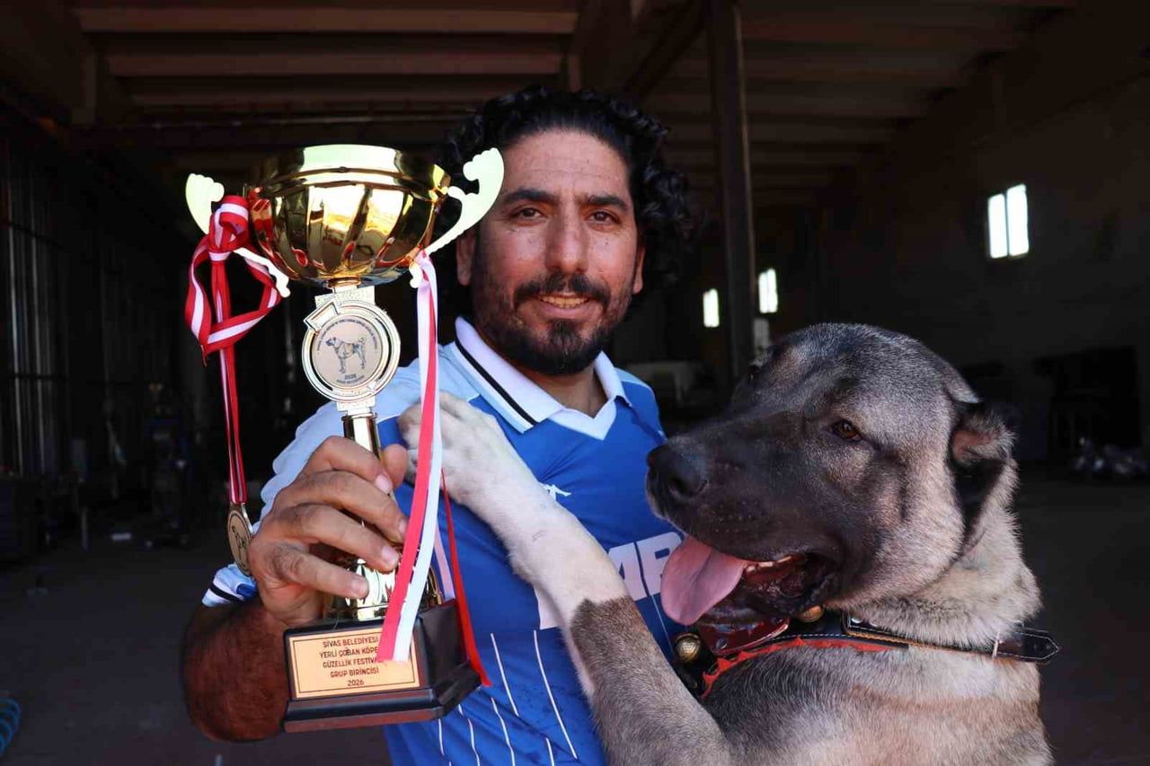 SİVAS’TA 25 GÜNLÜKKEN SAHİPLENİLEN VE SANAYİ ORTAMINDA BÜYÜYEN ‘BOZOK’ İSİMLİ KANGAL KÖPEĞİ VE...