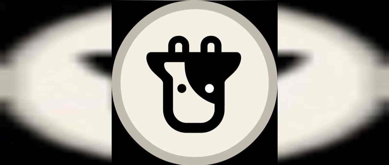 BIFI coin nedir