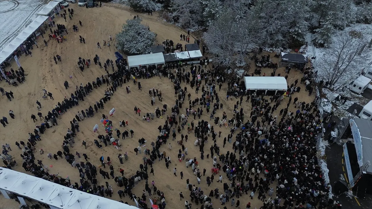 Bilecik Valiliği himayesinde düzenlenen 1. Gölpark Kış Festivali'nde katılımcılara 2 ton hamsi...