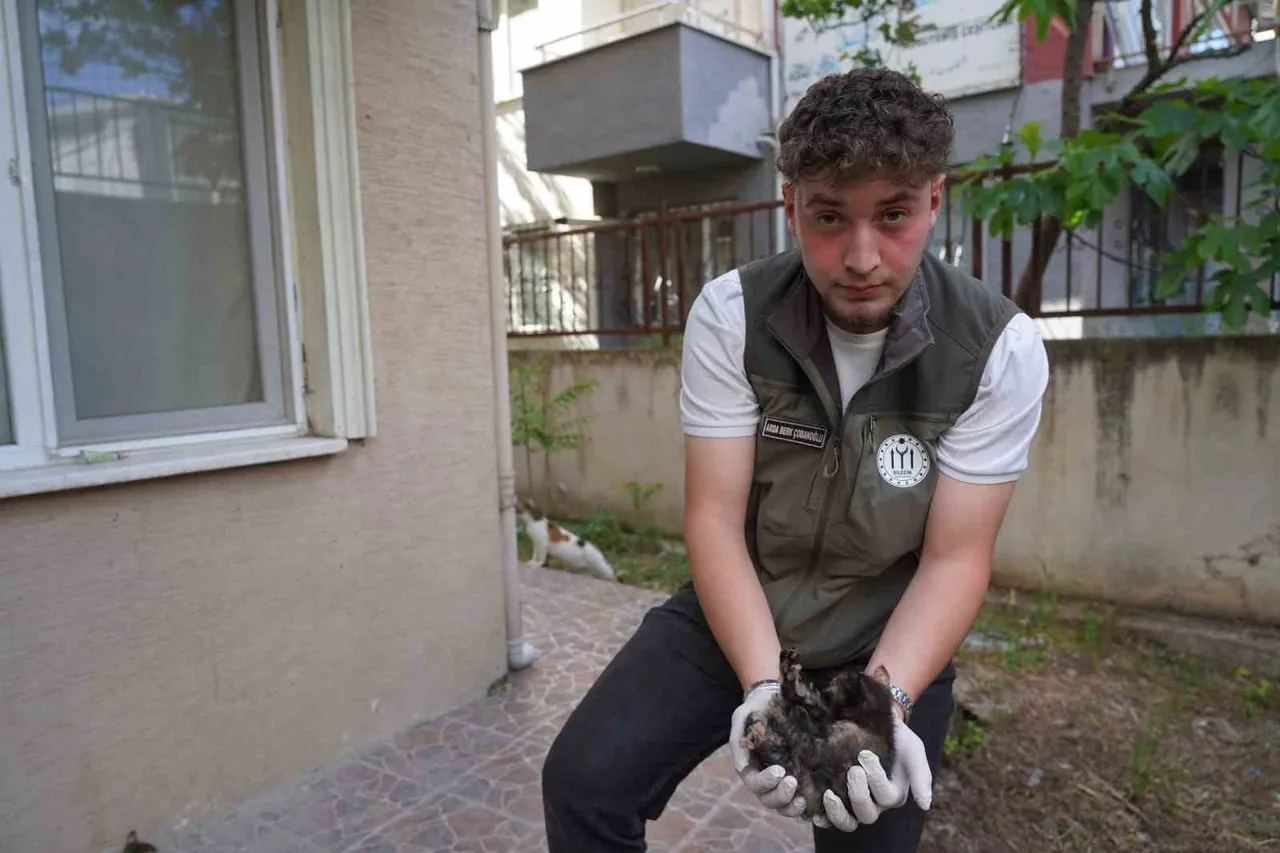 BİLECİK'TE BELEDİYE EKİPLERİ CADDE ÜZERİNDEKİ MAZGALA SIKIŞAN KEDİ YAVRULARINI KURTARDI.