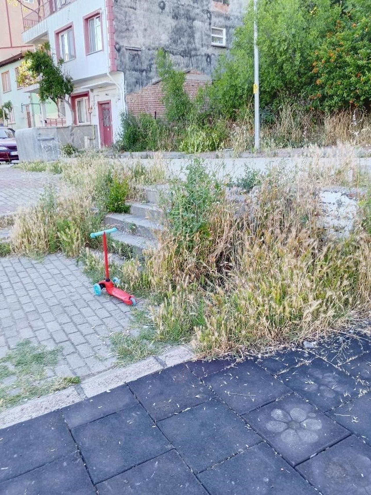 BİLECİK'TE PARKLAR OTLUK ALANA DÖNERKEN, VATANDAŞLAR İSYAN ETTİ