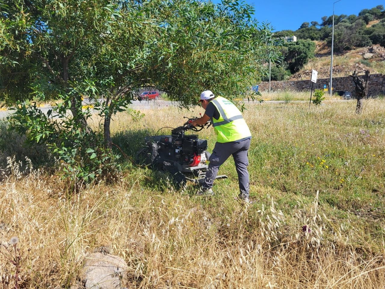 BODRUM BELEDİYESİ PARK VE BAHÇELER MÜDÜRLÜĞÜ EKİPLERİ, MAYIS AYINDA BAŞLATTIĞI OT TEMİZLİĞİ VE...
