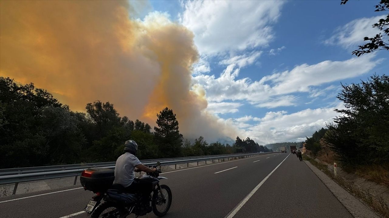 Bolu'nun Mengen ilçesinde ormanlık alanda çıkan yangını söndürmek için çalışma...