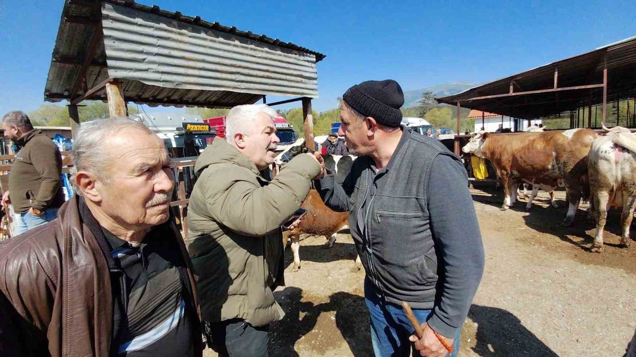 BOLU’DAKİ KURBAN PAZARINDA ALICI VE BESİCİLER 704 KİLOLUK DANA İÇİN DAKİKALARCA PAZARLIK YAPTI....