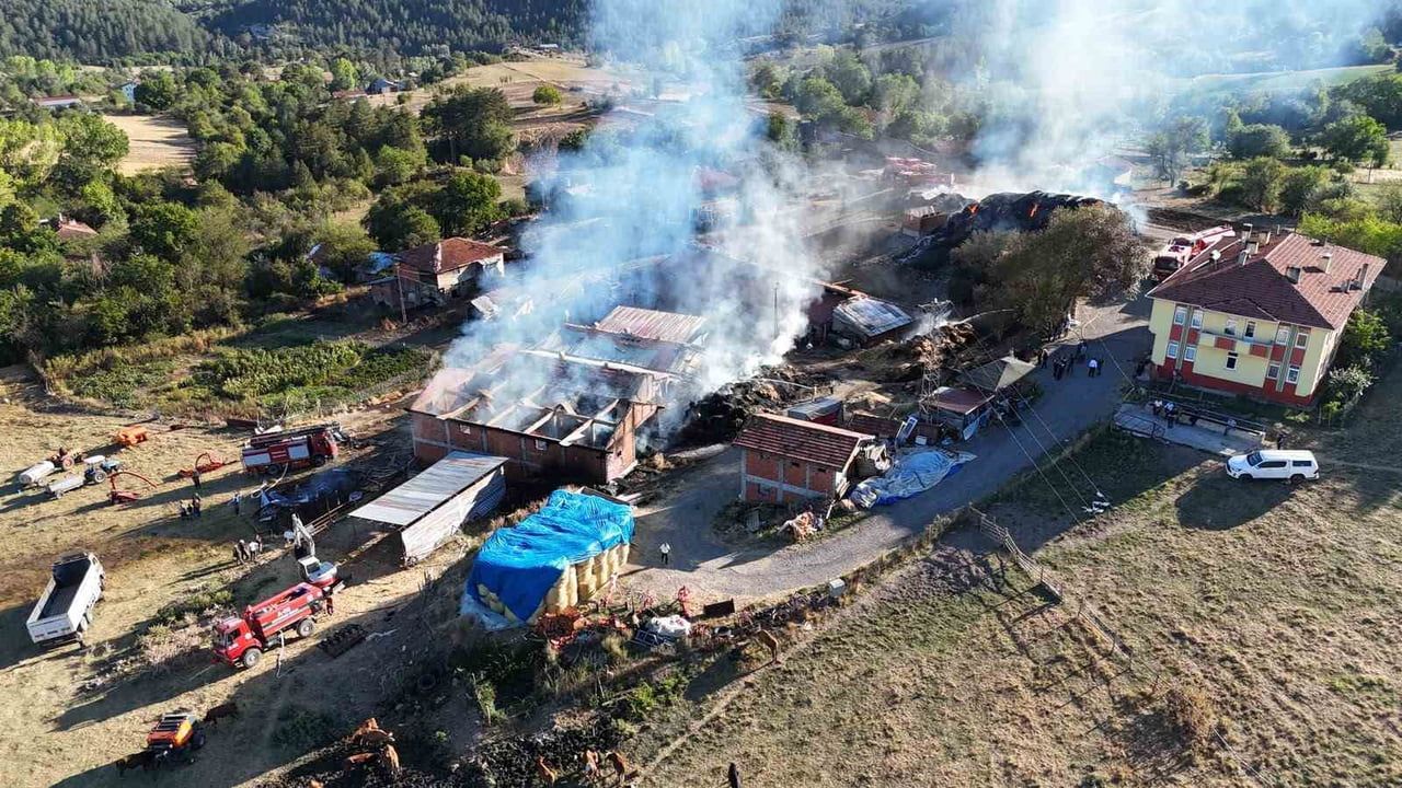 KASTAMONU'NUN İHSANGAZİ İLÇESİNDE ÇIKAN YANGINDA 14 BÜYÜKBAŞ HAYVAN TELEF OLDU, 3 AHIR İLE...