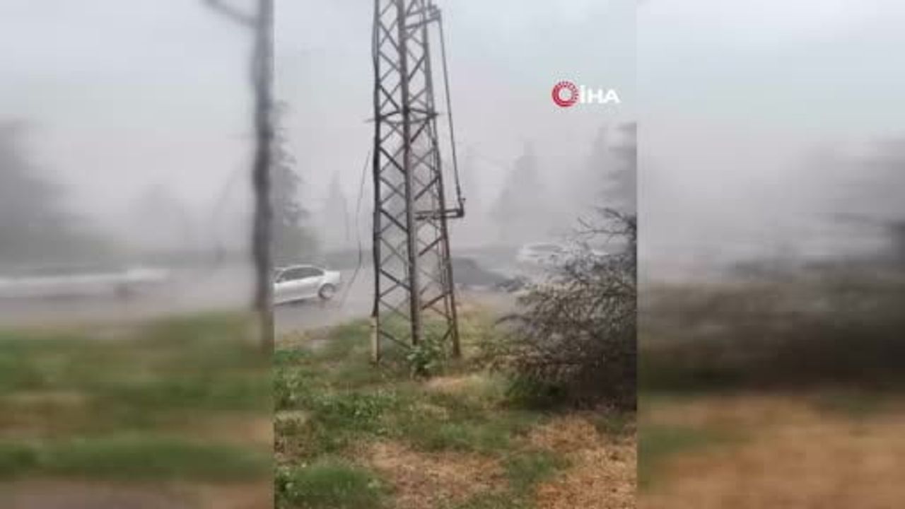 Erbaa'da yağmur ve fırtına ağacı devirdi