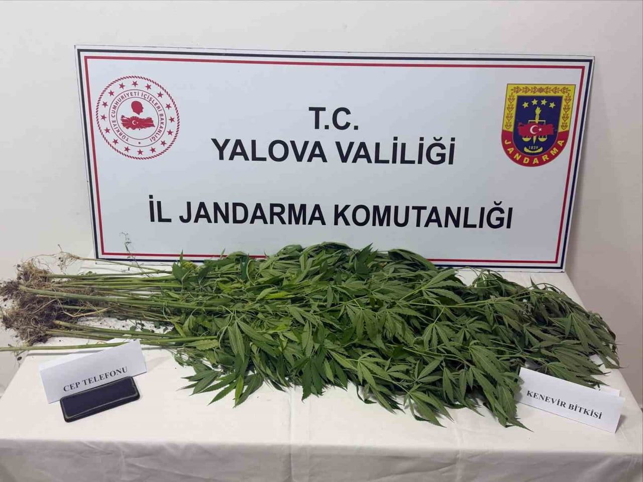 YALOVA’DA JANDARMA TARAFINDAN DÜZENLENEN UYUŞTURUCU OPERASYONLARINDA 3 ŞÜPHELİ GÖZALTINA...