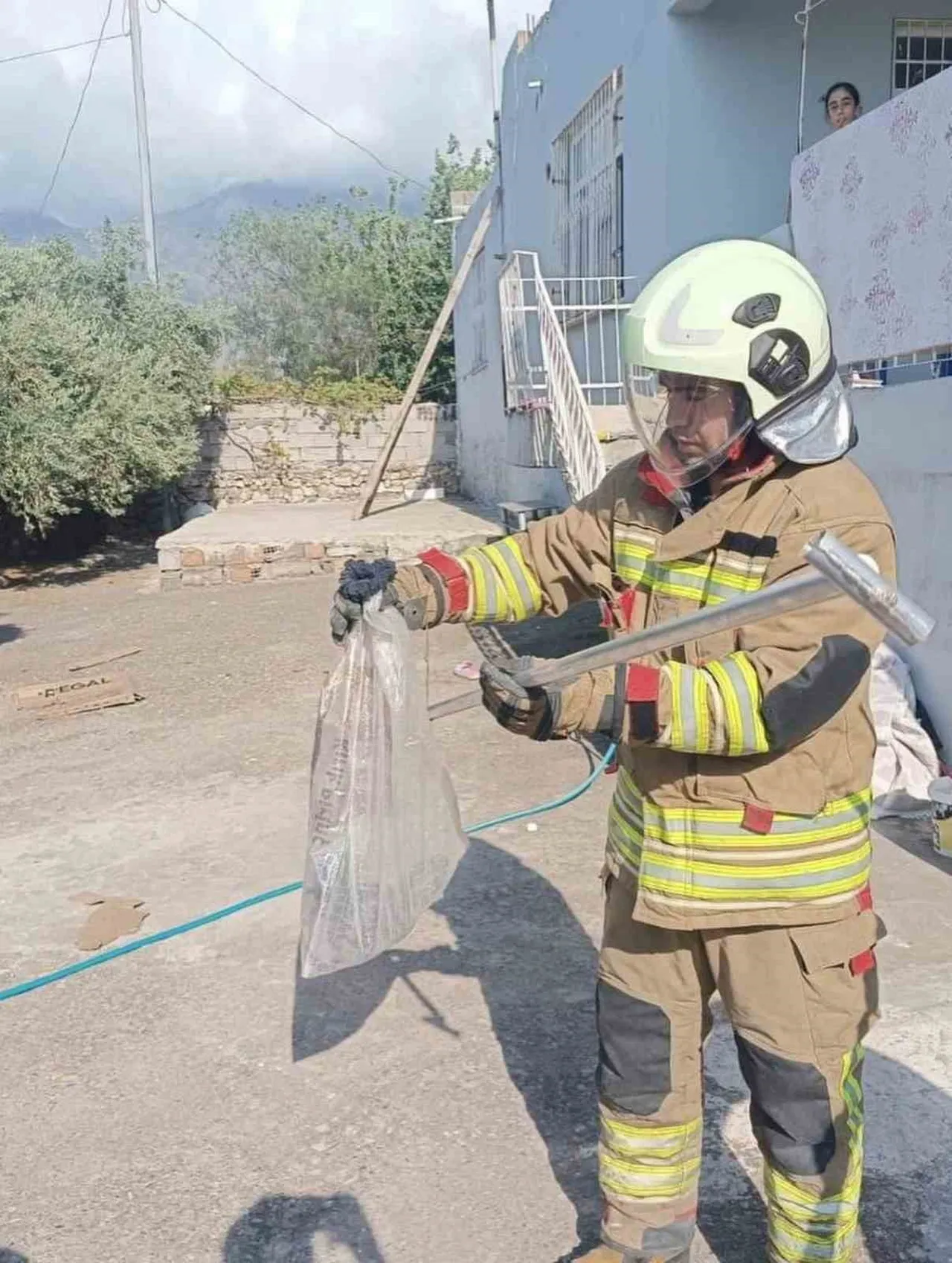 ANTAKYA, DEFNE VE İSKENDERUN’DA YERLEŞİM YERLERİNDE YAKALANAN YILANLAR, EKİPLER TARAFINDAN ZARAR...