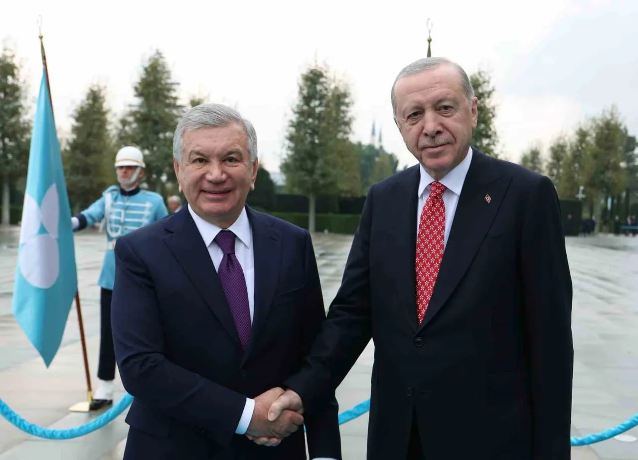 CUMHURBAŞKANI RECEP TAYYİP ERDOĞAN, ÖZBEKİSTAN CUMHURBAŞKANI ŞEVKET MİRZİYOYEV İLE BİR ARAYA...
