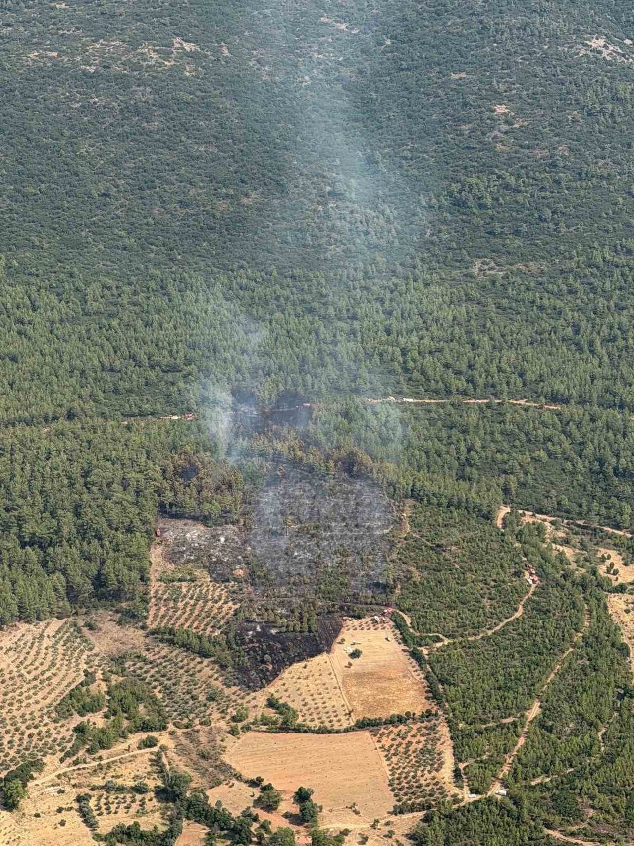 YATAĞAN’DA KORKUTAN ZİRAİ YANGIN KONTROL ALTINA ALINDI