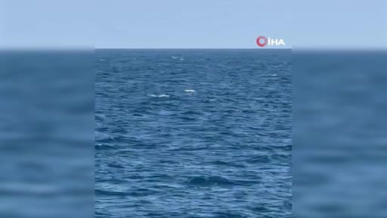 Romanya ordusu, ülkenin Karadeniz'deki münhasır ekonomik bölgesinde Neptun Deep açık deniz doğal...