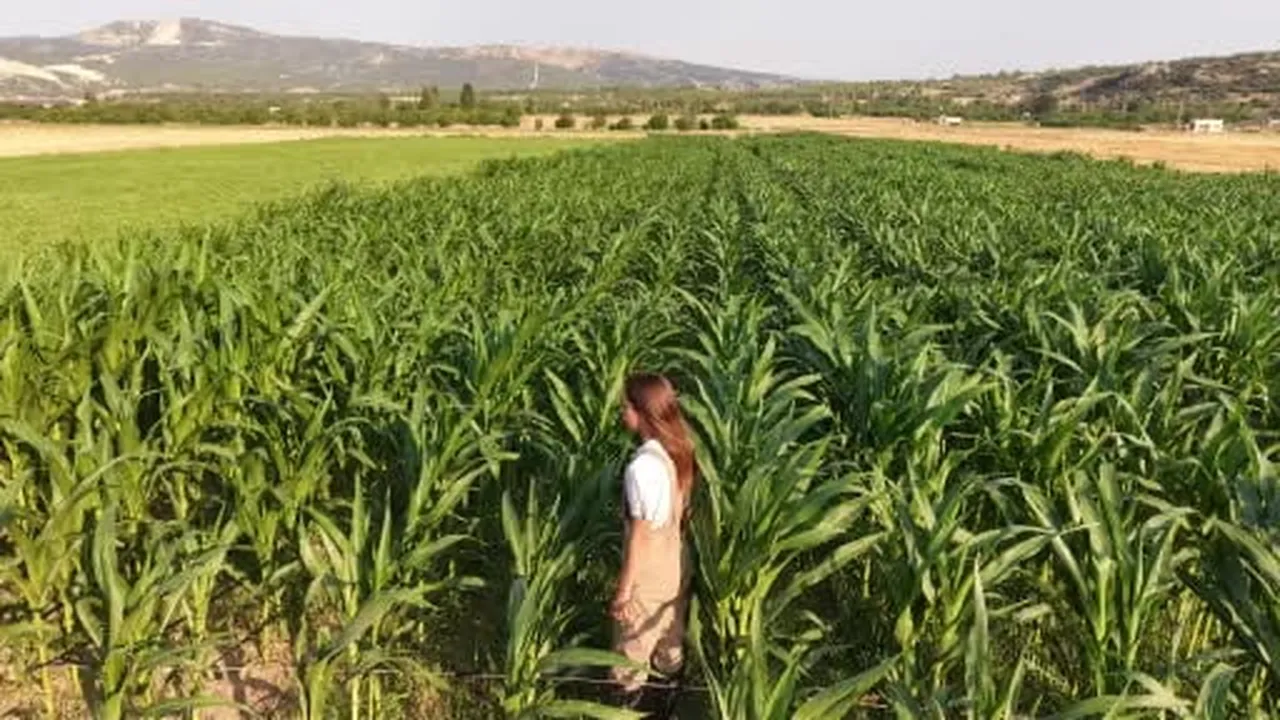 Babasının geçirdiği iş kazasıyla çiftliği yükü omuzlarına bindi, o ise üretmekten...