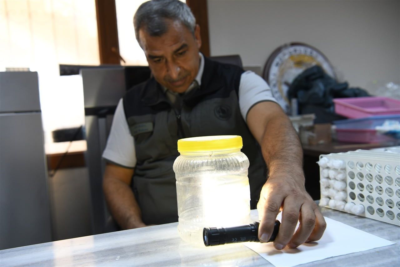 MERSİN ORMAN BÖLGE MÜDÜRÜ ZAFER KIZIL, DAVULTEPE BÖCEK ÜRETİM LABORATUVARINDA İNCELEMELERDE...