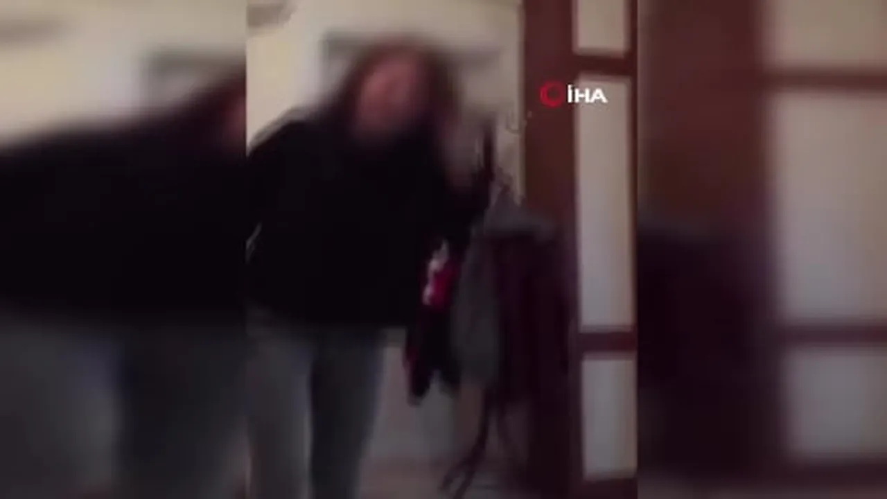 Kaplumbağayı ayağıyla ezen şüpheli gözaltına alındı