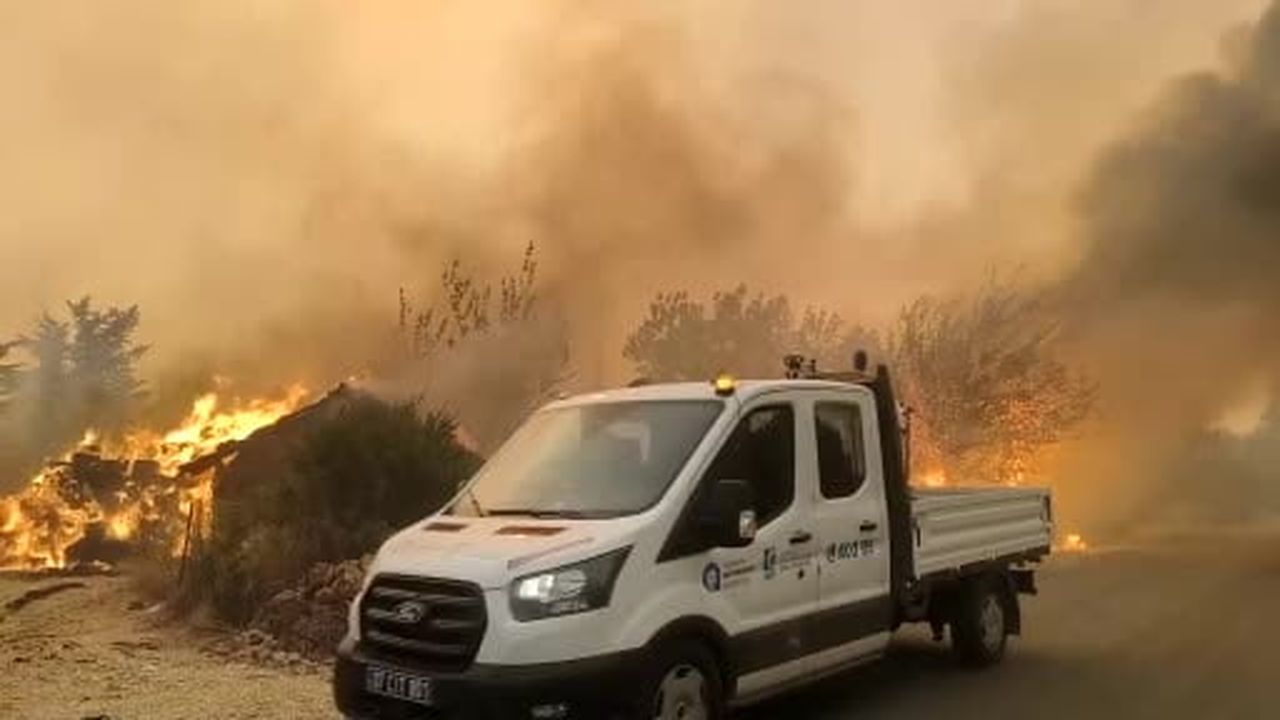 Alevlerle mücadelede seferber oldular, koyunları alevlerin ortasından böyle kurtardılar