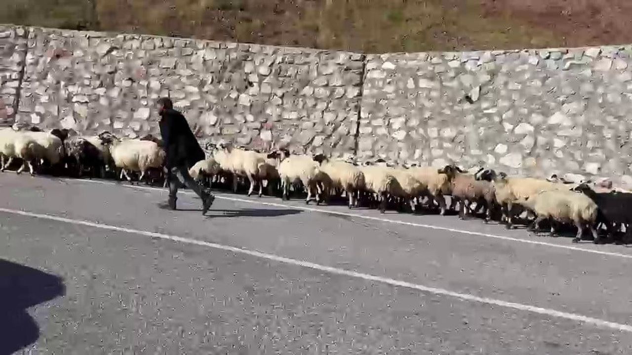 ERZURUM’UN YÜKSEK RAKIMLI YAYLALARINDA YAZ DÖNEMİ BOYUNCA KONAKLAYAN GÖÇERLERİN, HAVALARIN...