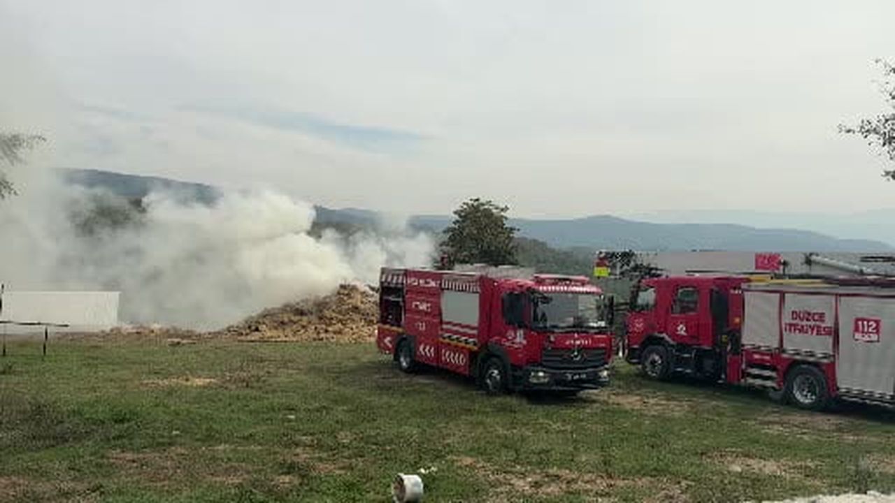 Besi çiftliğinde çıkan yangın güçlükle söndürüldü