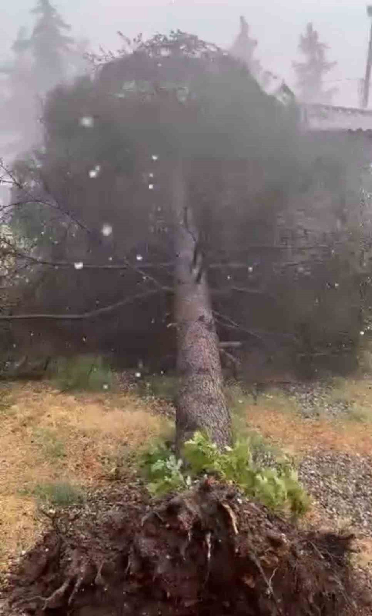 TOKAT'IN ERBAA İLÇESİNDE ETKİLİ OLAN SAĞANAK YAĞIŞ VE KUVVETLİ RÜZGAR, GÜNLÜK YAŞAMI OLUMSUZ...