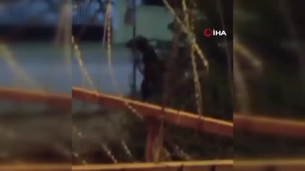Arnavutköy'de yürek burkan görüntüler: Dakikalarca atı dövdü
