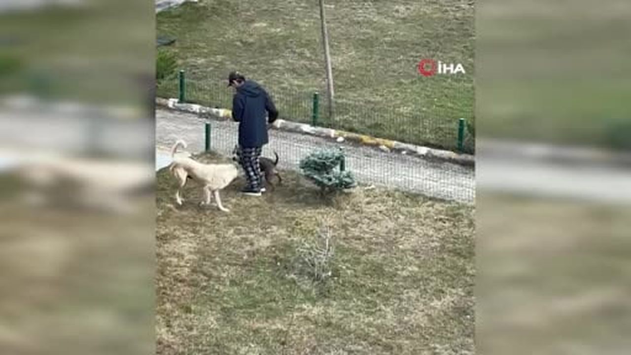 Site sakinleri Palandöken Kaymakamı’na sahip çıktı: "Kaymakama itibar suikastı yapılıyor"