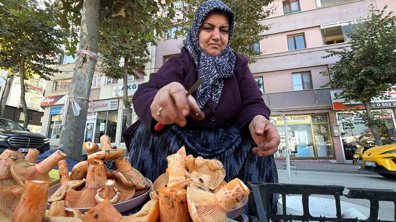BOLU’DA YAĞIŞLARIN ARDINDAN ORMANLARDA YETİŞEN KANLICA MANTARLARI, VATANDAŞLAR TARAFINDAN KOVA...
