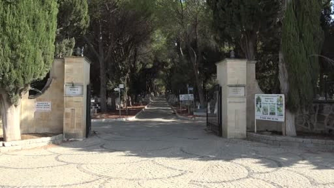 Çanakkale'de mezarlık görevlisinin sincaplarla kurduğu dostluk görenlerin içini ısıttı