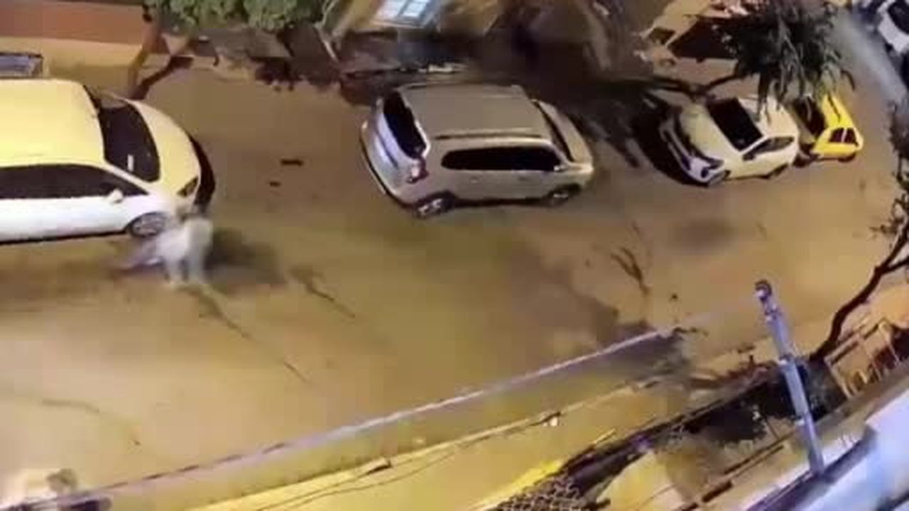 Polisten kaçtı, ters yöne girdi: 326 bin TL ceza kesildi