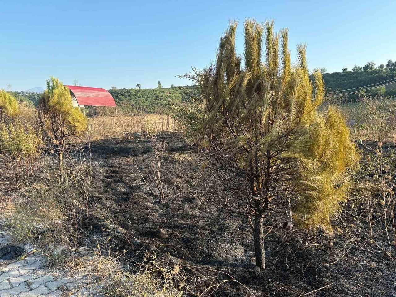 OSMANİYE’NİN DÜZİÇİ İLÇESİNDE BULUNAN ÜÇGÜLLÜ TEPE MESİRE ALANINDA ÇIKAN YANGIN, İTFAİYE...