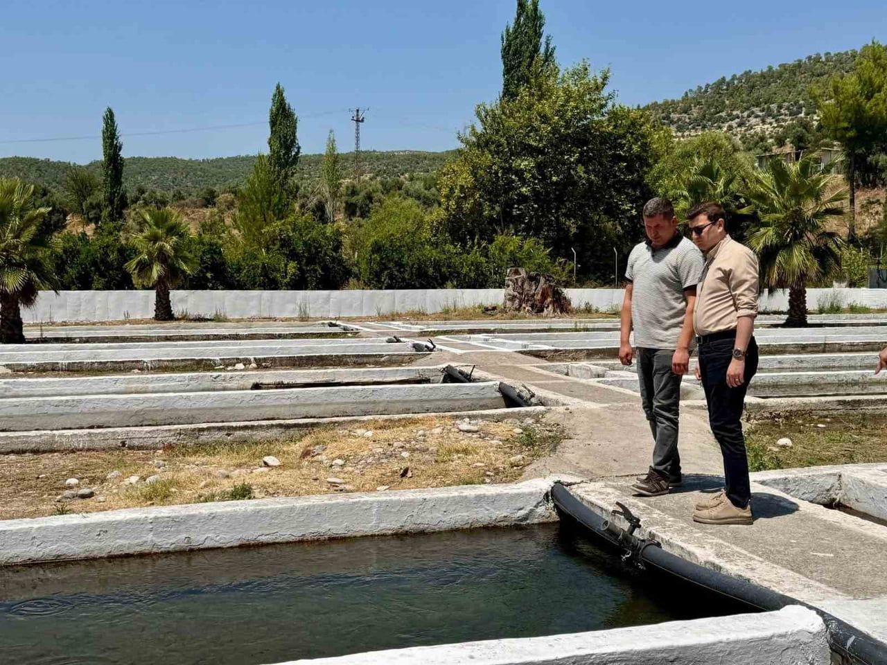 BOZDOĞAN KAYMAKAMI HÜSEYİN ŞAMİL SÖZEN, İLÇE TARIM VE ORMAN MÜDÜRLÜĞÜ İLE KEMER JANDARMA...