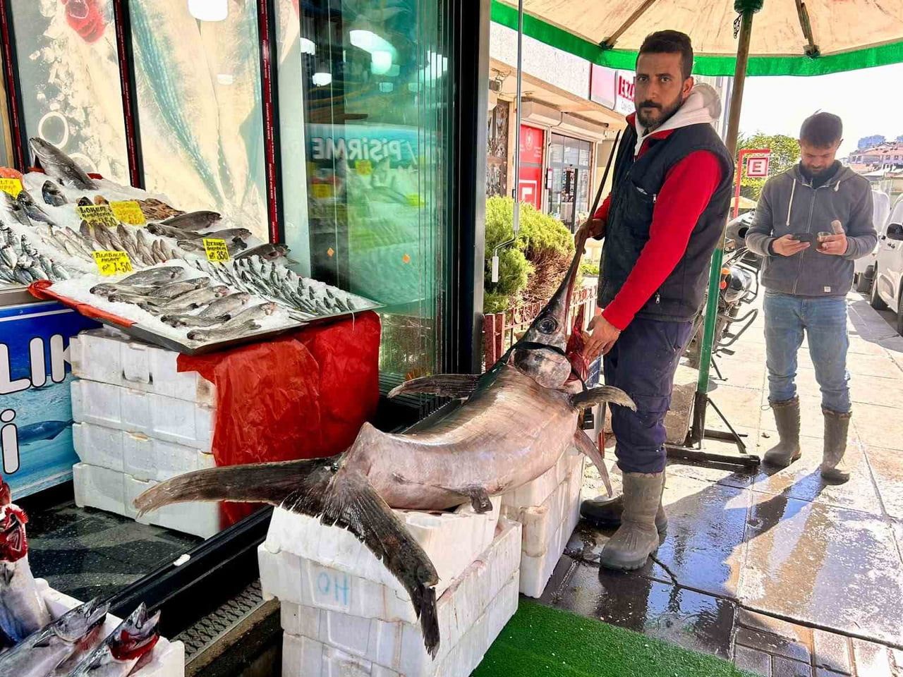 BALIKÇI ALPER BİNİCİ