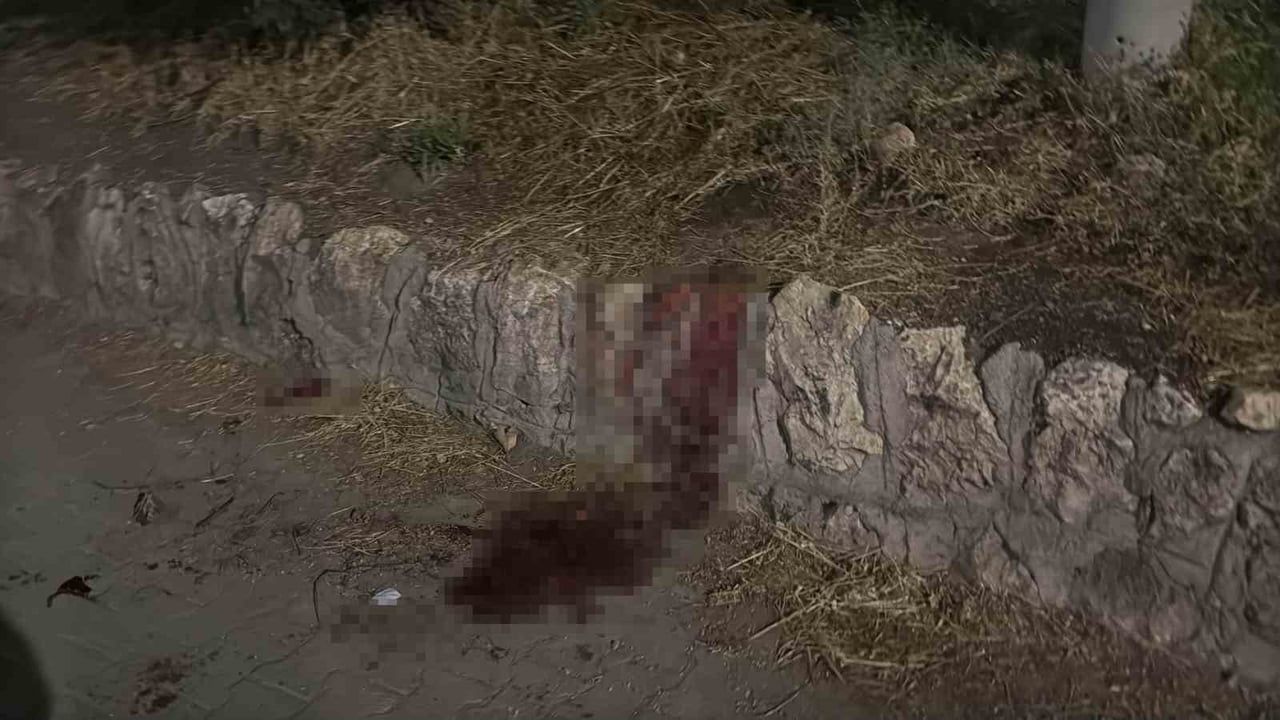 ESKİŞEHİR’DE İKİ GRUP ARASINDA ÇIKAN TARTIŞMANIN BIÇAKLI KAVGAYA DÖNÜŞMESİ SONUCU 17 YAŞINDAKİ...